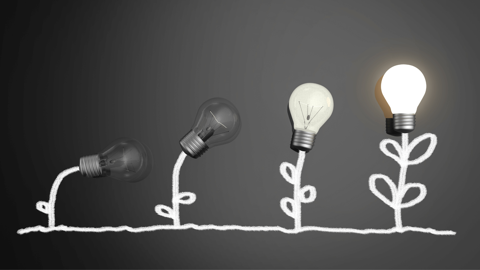 A process of a bulb from burn-out to bright light illustrated by a flower blooming