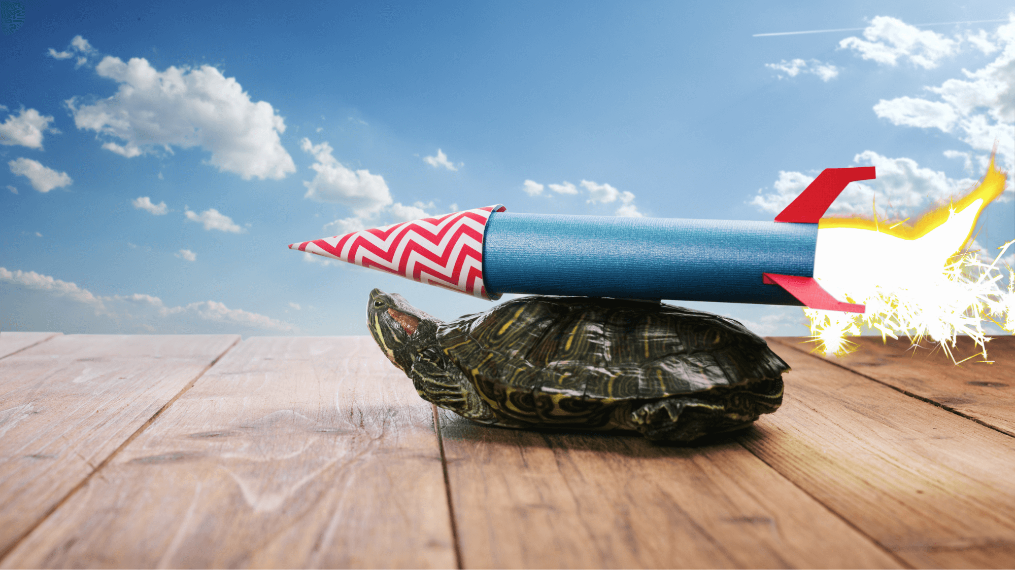 A rocket placed above the turtle
